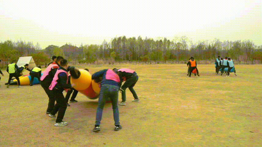 游戏 (2).gif 游戏 (2).gif